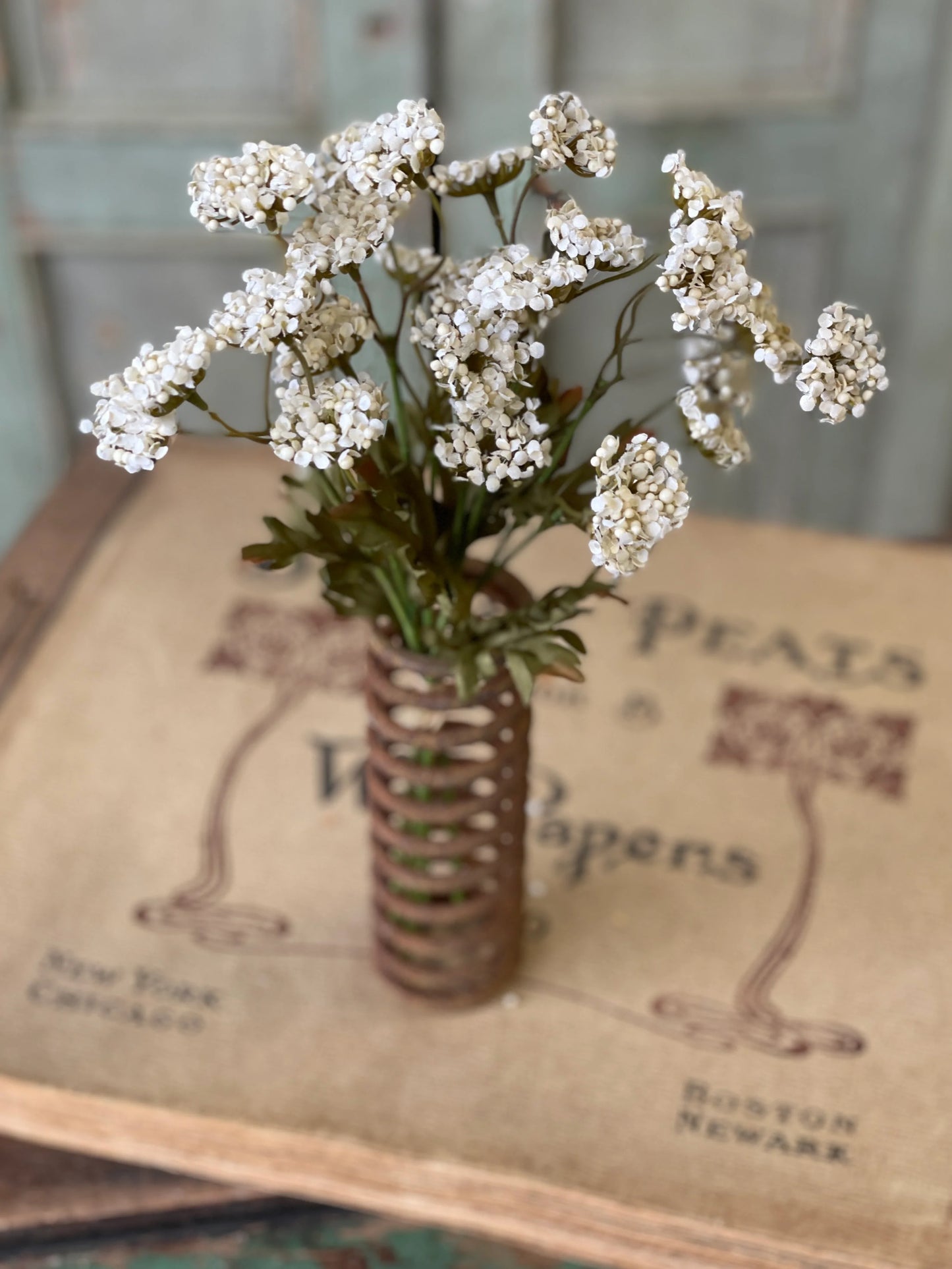 Fennel Flower Bundle | 13" | Cream